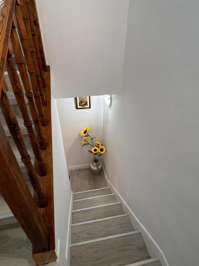 Ávila Casa Marujaヴィラ エクステリア 写真